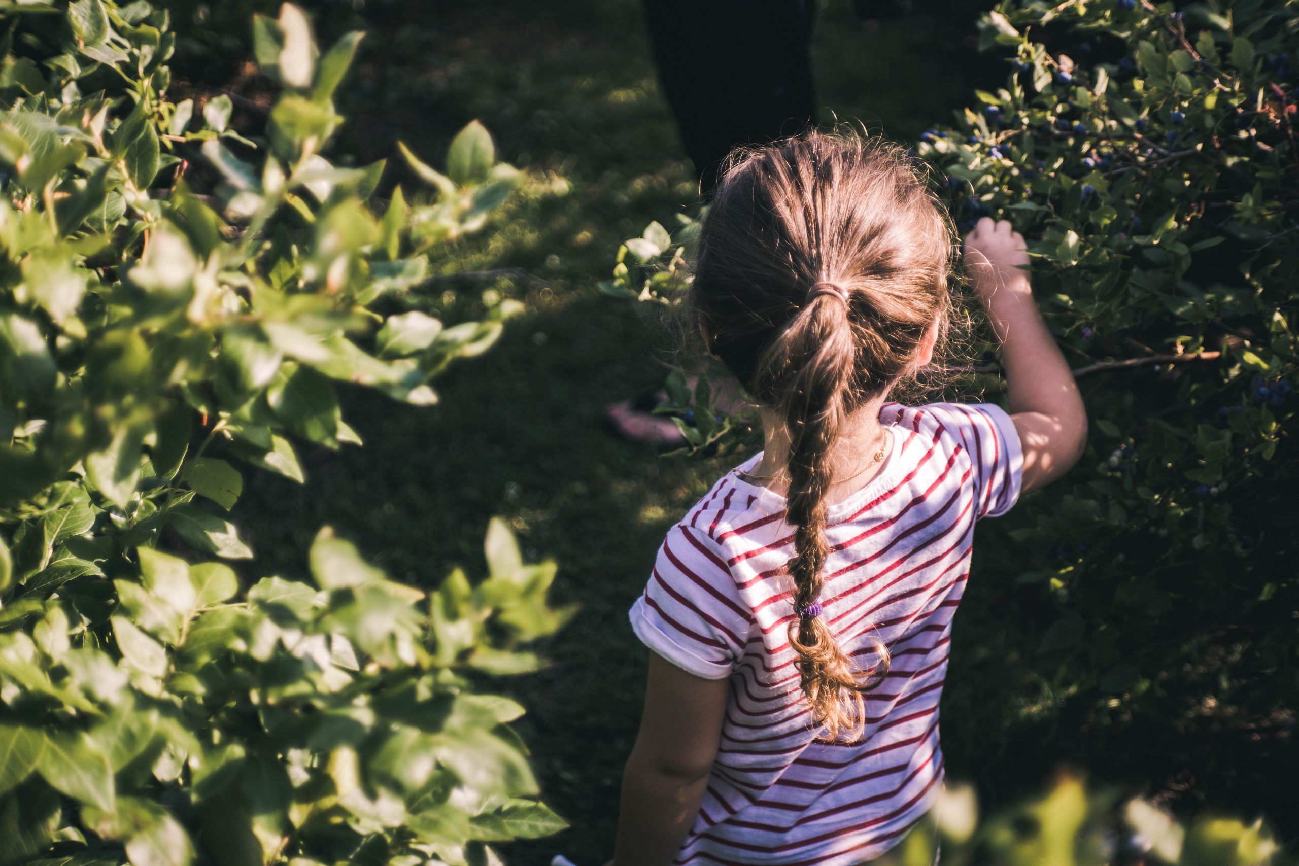 Ville ou campagne pour élever des enfants