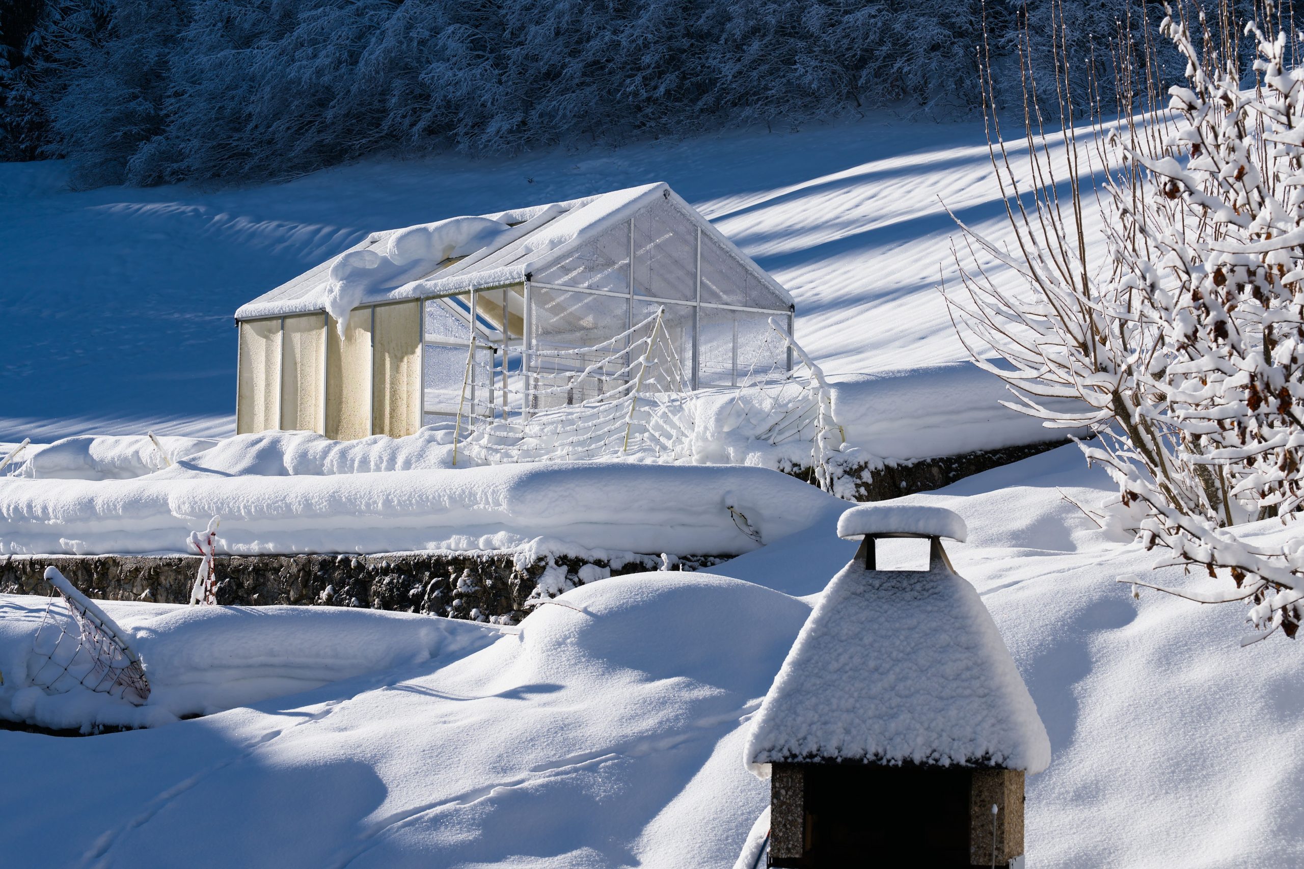 Voile d'hivernage ou serre froide